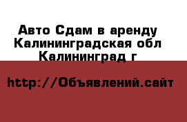 Авто Сдам в аренду. Калининградская обл.,Калининград г.